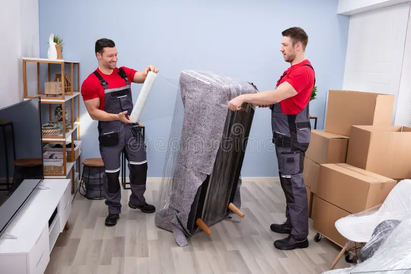 Your Trusted Packers and Movers in Vapi