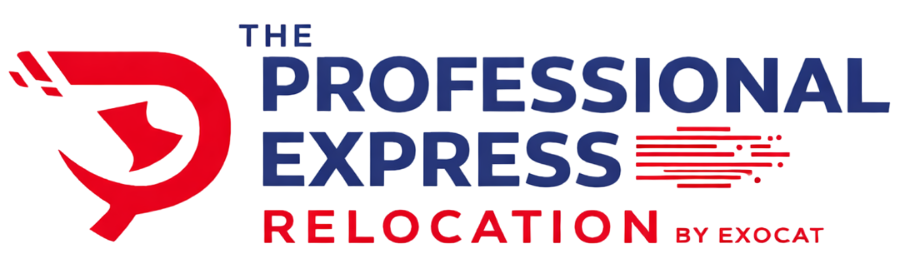 Professional Packers and Movers Services in Sadulpur