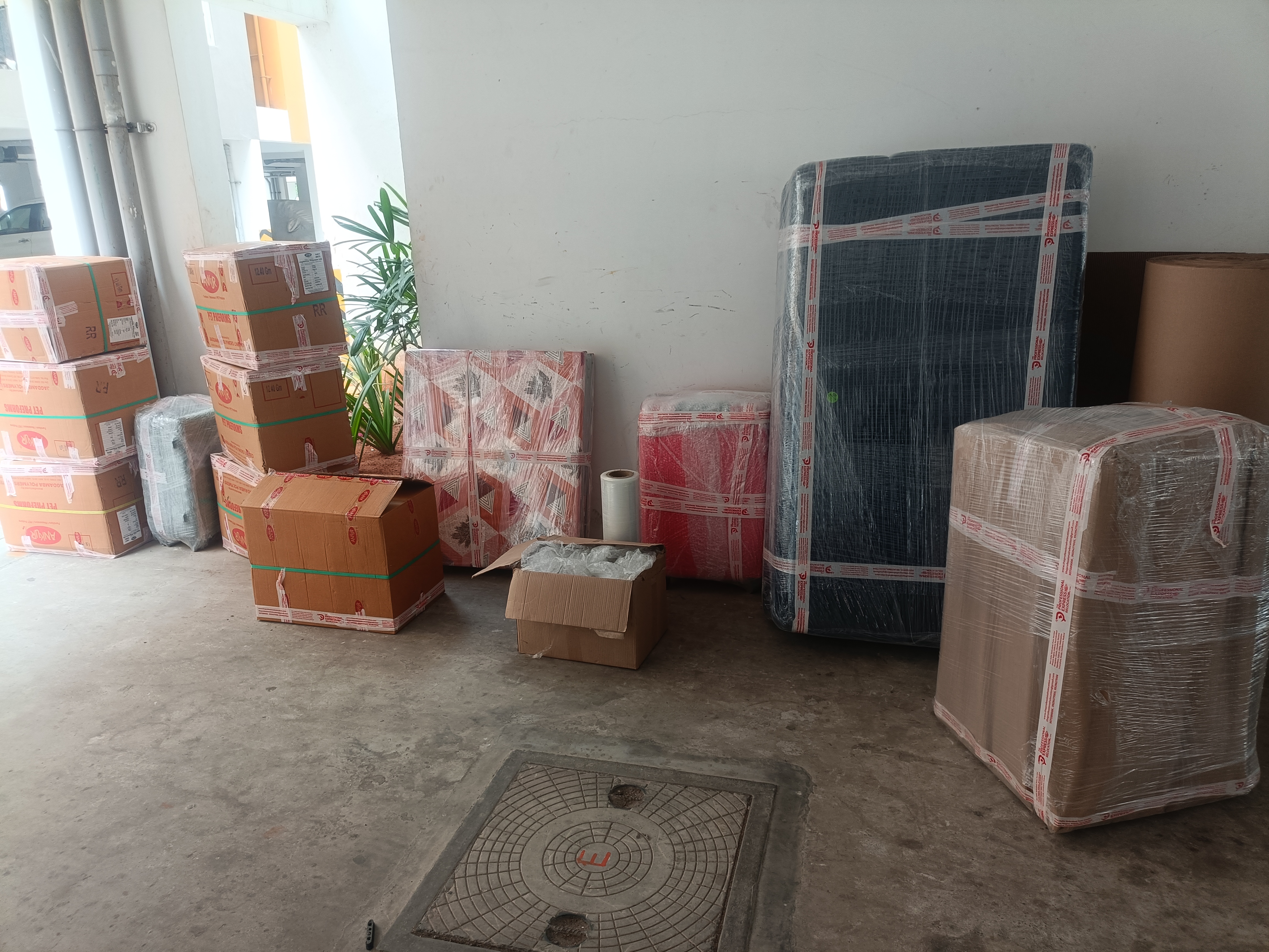 About The Professional Express Relocation Packers and Movers in Adyar